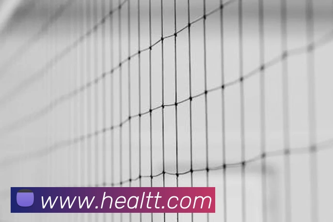 未来规划
